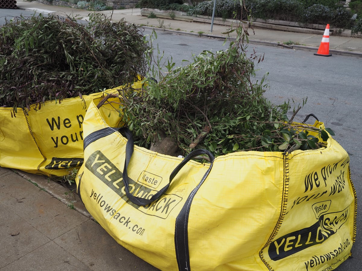 A Large Yellowsack filled with branches in a garden